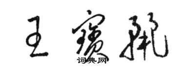 骆恒光王宝丽草书个性签名怎么写