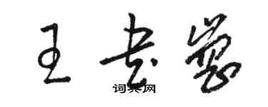 骆恒光王书岗草书个性签名怎么写