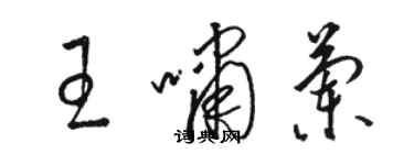 骆恒光王啸兰草书个性签名怎么写