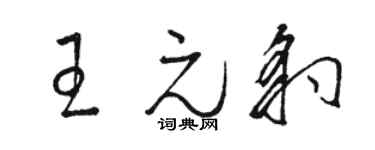 骆恒光王元豹草书个性签名怎么写