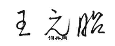 骆恒光王元昭草书个性签名怎么写