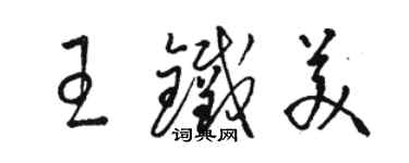 骆恒光王铁美草书个性签名怎么写