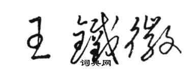 骆恒光王铁徽草书个性签名怎么写