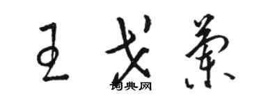 骆恒光王戈兰草书个性签名怎么写