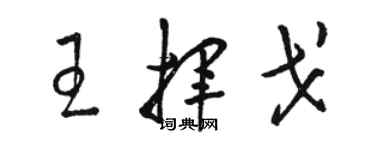 骆恒光王挥戈草书个性签名怎么写
