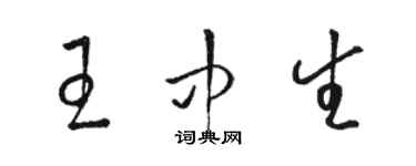 骆恒光王中生草书个性签名怎么写