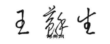 骆恒光王苏生草书个性签名怎么写