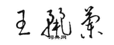 骆恒光王丽兰草书个性签名怎么写
