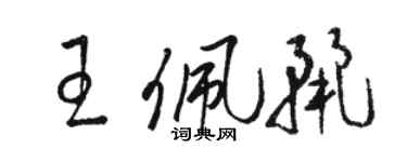 骆恒光王佩丽草书个性签名怎么写