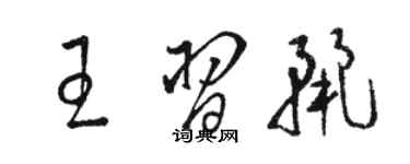 骆恒光王习丽草书个性签名怎么写
