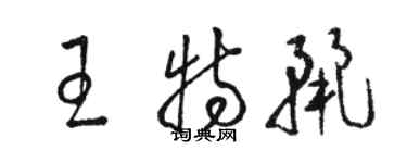 骆恒光王特丽草书个性签名怎么写