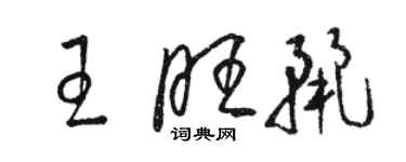 骆恒光王旺丽草书个性签名怎么写