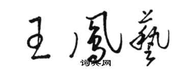 骆恒光王凤艺草书个性签名怎么写