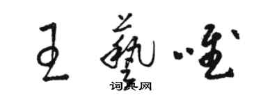 骆恒光王艺唯草书个性签名怎么写
