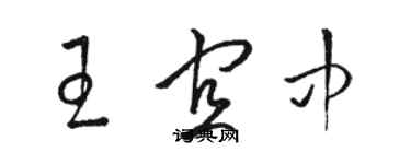 骆恒光王宜中草书个性签名怎么写