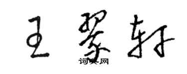 骆恒光王翠轩草书个性签名怎么写