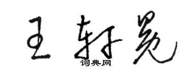 骆恒光王轩冕草书个性签名怎么写