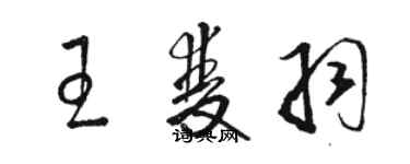 骆恒光王双羽草书个性签名怎么写