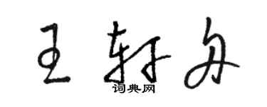 骆恒光王轩舟草书个性签名怎么写