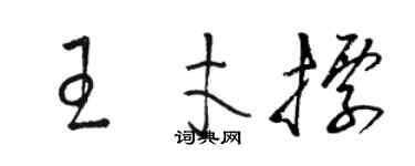 骆恒光王才标草书个性签名怎么写