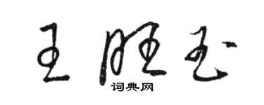 骆恒光王旺玉草书个性签名怎么写