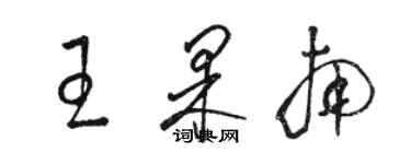 骆恒光王果南草书个性签名怎么写