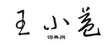 骆恒光王小益草书个性签名怎么写