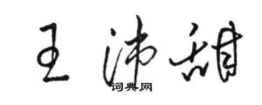 骆恒光王沛甜草书个性签名怎么写