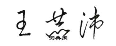 骆恒光王赫沛草书个性签名怎么写