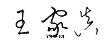 骆恒光王家真草书个性签名怎么写