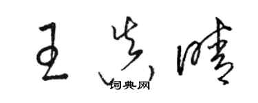 骆恒光王真晴草书个性签名怎么写