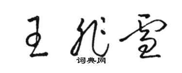骆恒光王非雪草书个性签名怎么写