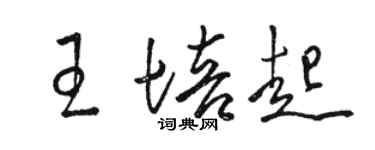 骆恒光王培起草书个性签名怎么写