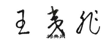 骆恒光王夷非草书个性签名怎么写