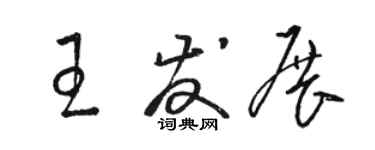 骆恒光王发展草书个性签名怎么写
