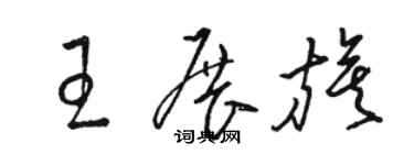 骆恒光王展旗草书个性签名怎么写