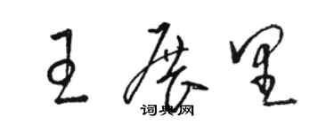 骆恒光王展里草书个性签名怎么写
