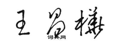 骆恒光王昌桦草书个性签名怎么写
