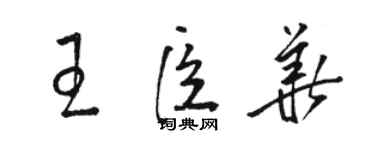 骆恒光王臣华草书个性签名怎么写
