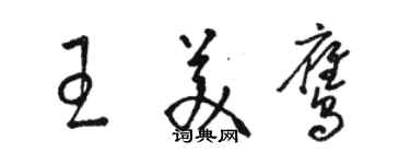 骆恒光王美鹰草书个性签名怎么写