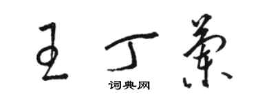 骆恒光王丁兰草书个性签名怎么写