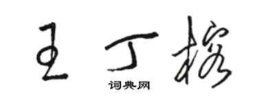 骆恒光王丁榕草书个性签名怎么写