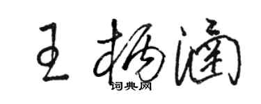 骆恒光王柄涵草书个性签名怎么写
