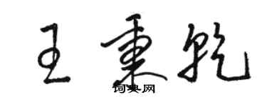 骆恒光王秉乾草书个性签名怎么写