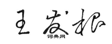 骆恒光王发根草书个性签名怎么写