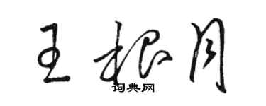 骆恒光王根月草书个性签名怎么写