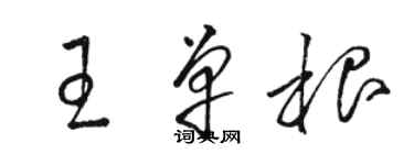 骆恒光王单根草书个性签名怎么写