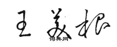 骆恒光王美根草书个性签名怎么写