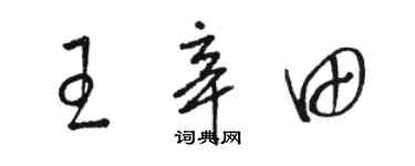 骆恒光王辛田草书个性签名怎么写
