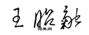 骆恒光王昭融草书个性签名怎么写